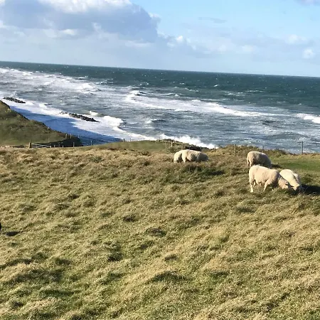 Cutest Annex - Close To Heatherhill And Sea :-) Konukevi *